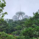 2026.7.04(토) 강화, 교동도 (화개정원~대룡시장~평화전망대)시티투어... 이미지