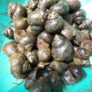 찬우물약수터 이미지