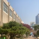 성지초등학교 | [학교출강]성지초등학교 바다비누만들기 출강수업