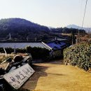 청산도다현재
