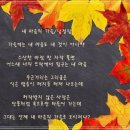 동천4호 티스토리