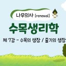 [Renewal 나무의사] 수목생리학 - 제7강 수목의 생장, 줄기의 생장 조회수 3.6천회 1년 전 이미지