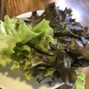 송희네족발