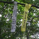 성골목장 이미지