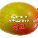 망고 함유성분과 효능 효과 이미지