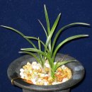 올젠테크놀로지 이미지