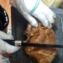 바우네나주곰탕(사동점) 이미지