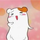 마이호텔