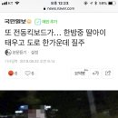 또 전동킥보드가… 한밤중 딸아이 태우고 도로 한가운데 질주 이미지