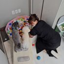 개린이 하우스 이미지