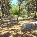 제60회 곰솔<b>누리</b> <b>숲</b>길 걷기 2022.10.11 화요일