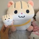 대빵인형뽑기 수내점 | 햄랑이 키링 쪼롱이 키링 햄랑이 굿즈 구매후기