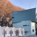 민트322 이미지