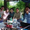 용일농장 Daum카페