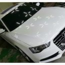 키다리광택 이미지