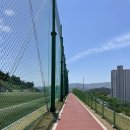 임호체육공원 축구장 이미지