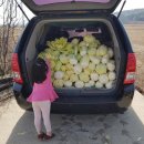 파워식자재마트 이미지