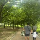 화랑공원 이미지