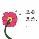 신비펜션 1 이미지