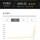 보배주유소 이미지