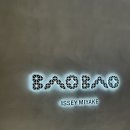 바오바오 프리즘매트 미니크로스백 챠콜그레이 구매후기