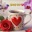 대나무 이미지