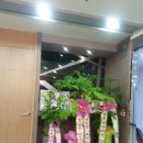 서문미의원 이미지