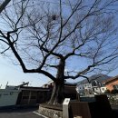 이동면 화계 이미지