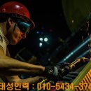 태성인력 이미지