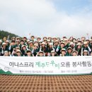 제주명과 이미지