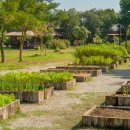 홈카페 쿠킹 클래스 이미지