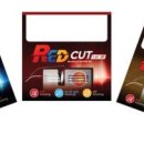 댄디안경원 이미지