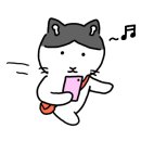이디홀 이미지