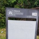대구천 | 관덕당 옛터와 은곡수, 그리고 건들바위
