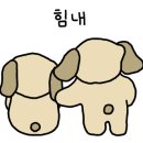 세종수선