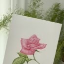 후즈보태니컬아트