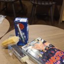 마쓰야마 호텔 추천 도미인 마쓰야마 REF 베셀 조식 도미밥 대관람차 텐쿠라 고텐 맛집 마쓰야마역에서...