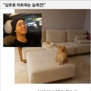 아띠앤펫 이미지