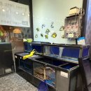 광주보쌈 | 광주 첨단 술집, 굴보쌈 정주막 후기