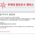 루체테솔루션 이미지
