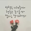 공황장애/흡연과 알콜의 관계 이미지