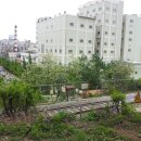 팔용산 등산로 입구 이미지