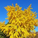 군위군부계면대율보건진료소 이미지