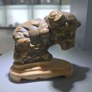 청송수석꽃돌박물관 이미지