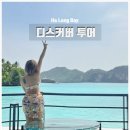 하롱 - 군산시 부원로 26 | 하롱