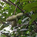 세주농장 이미지