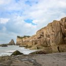 터줏대감 이미지