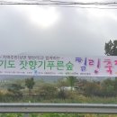 [가평 잣향기푸른숲 축제]경기도 가평 잣향기 푸른 숲 힐링축제가 열립니다