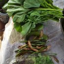 고사농장 이미지