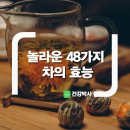 놀라운 48가지 차의 효능 이미지